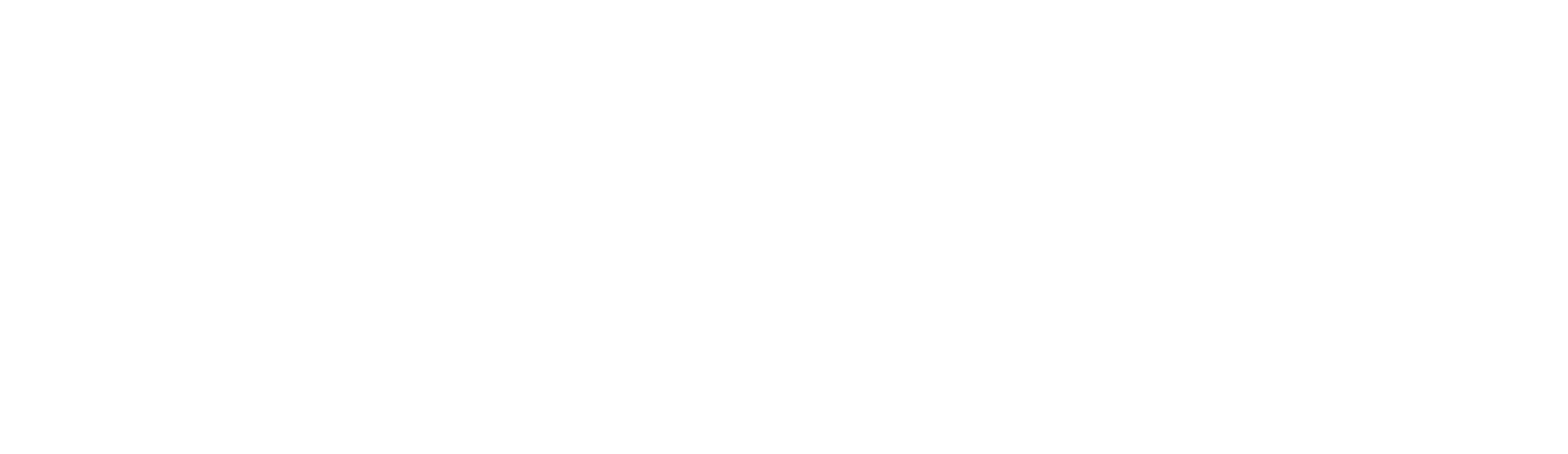 Fortis Treinamentos e Segurança do Trabalho